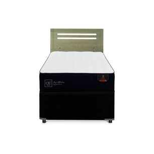 Cama Nido Cic Divan / 1.5 Plazas / Base Funcional + Respaldo