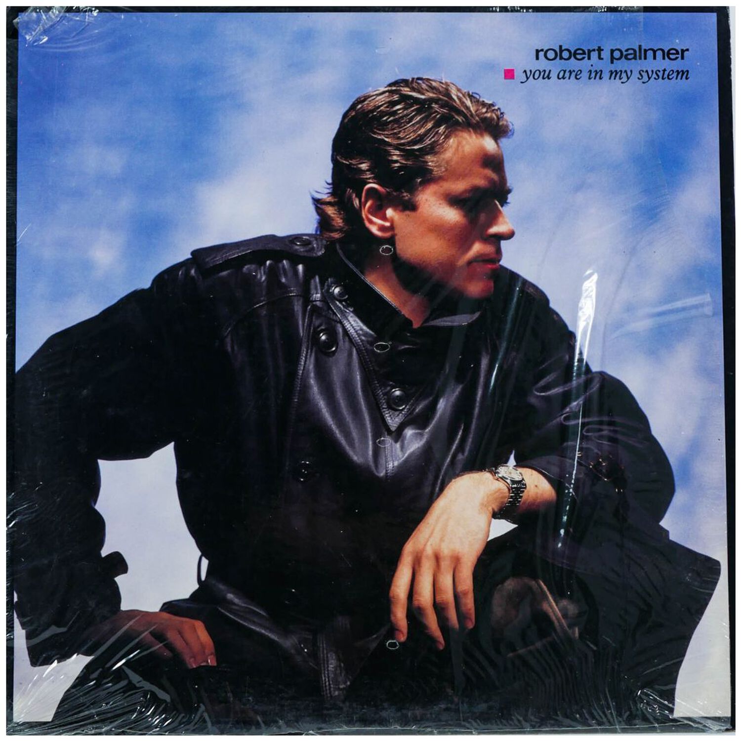 Robert Palmer - You Are In My System | 12" Maxi Single Usado image number 0.0