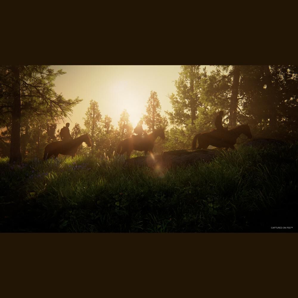Juego PS5 Sony The Last Of Us Part 1 image number 3.0