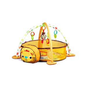 Gimnasio Corral Pelotas Zoo Yellow