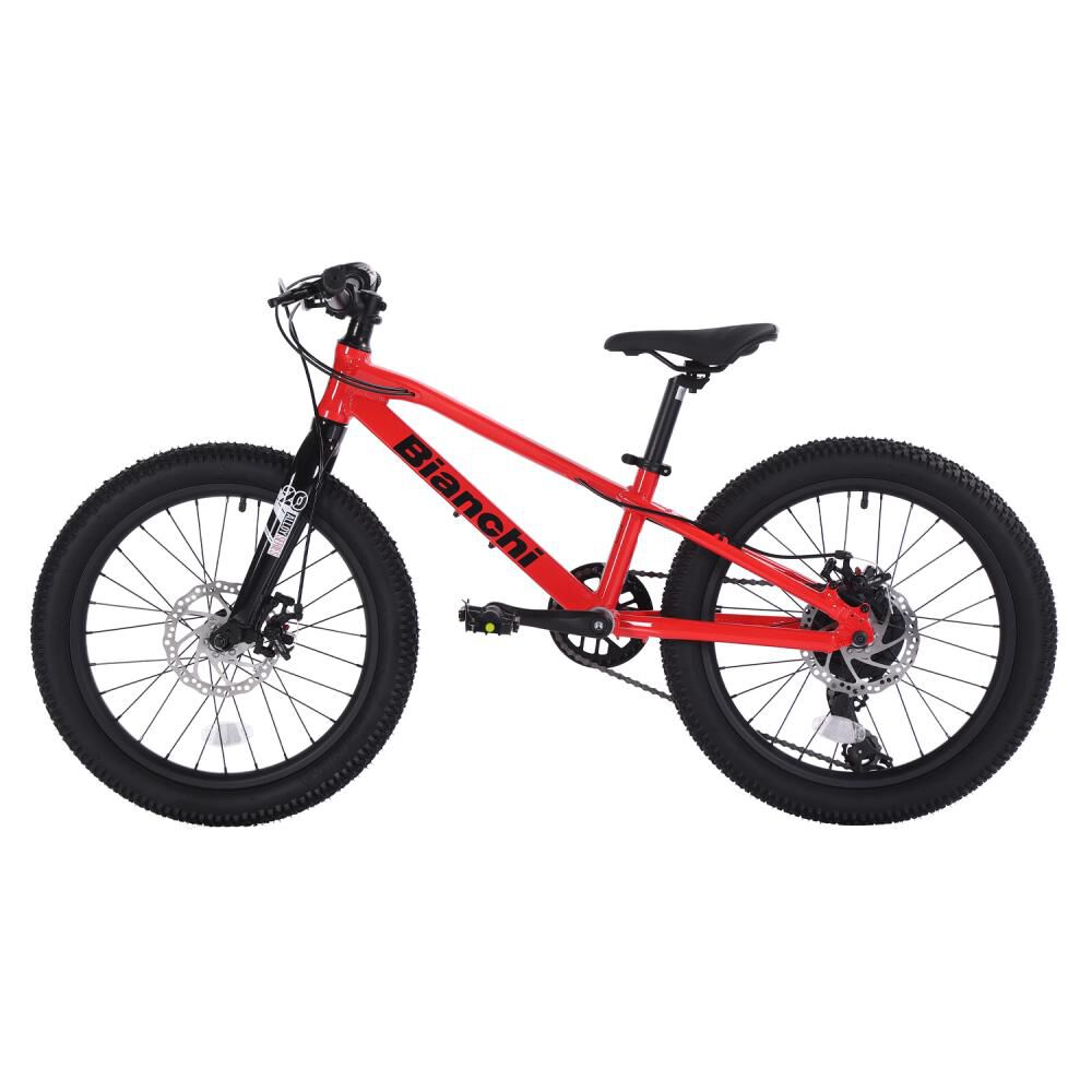 Bicicleta Infantil Bianchi Bianchi Alloy 20 / Aro 20 image number 3.0