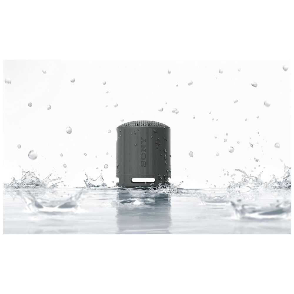 Parlante Bluetooth 5w Ip67 Portatil Celeste Srs-xb100 image number 5.0