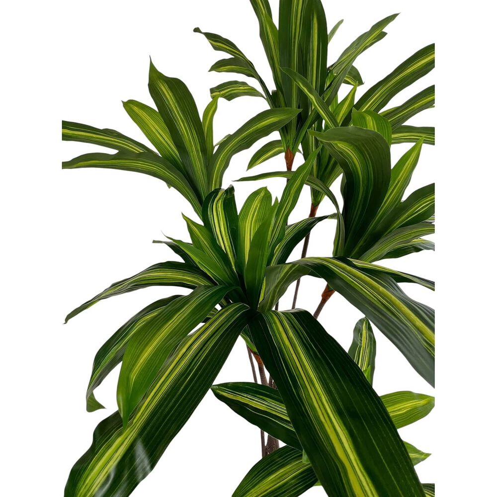 Planta Artificial Dracaena Premium 165 Cm./ 90 Hojas image number 3.0