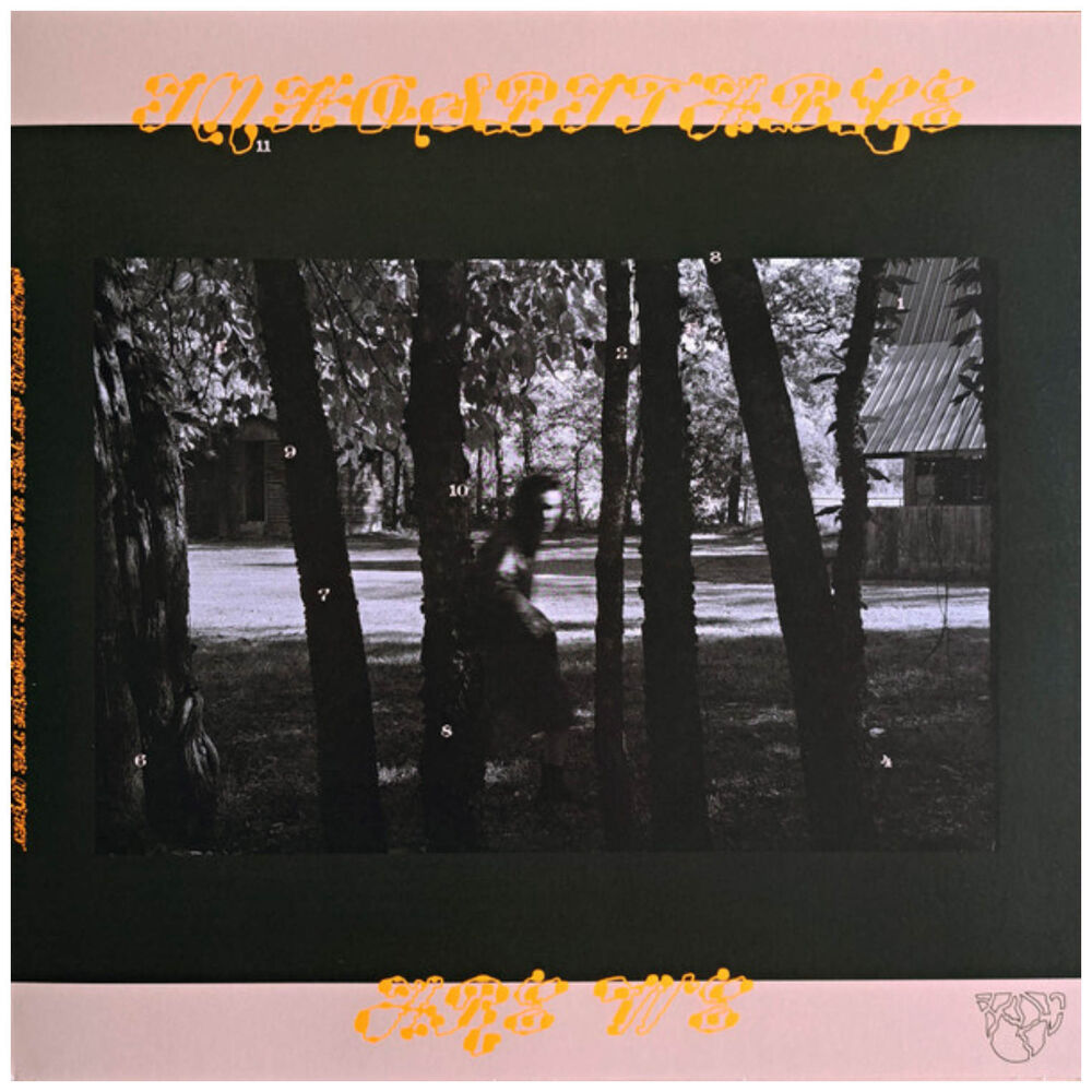 Mitski - Land Is Inhospitable And So Are We | Vinilo image number 2.0