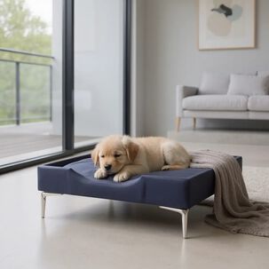 Cama De Mascotas - Talla S (55x40 Cm) / Pata Cromada 15 Cm (negro)