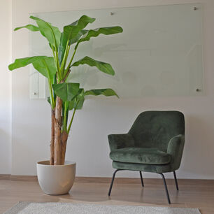 Planta Artificial Banano Premium 180 Cm. / 14 Hojas / Arbusto Real