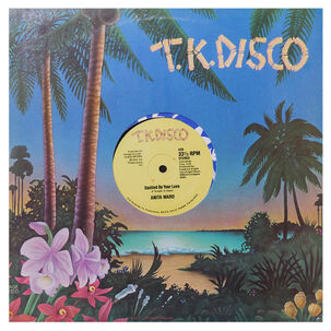 Anita Ward - Don't Drop My Love | 12" Maxi Single Usado