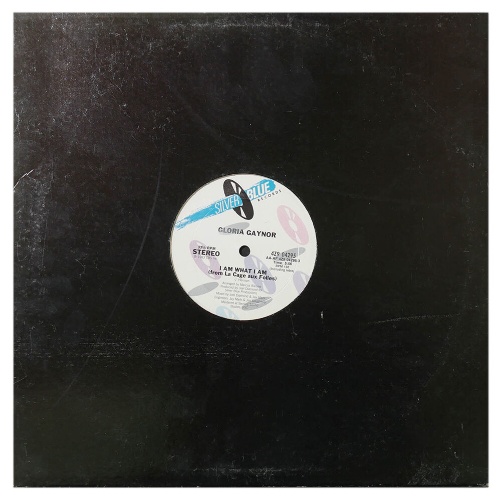 Gloria Gaynor - I Am What I Am | 12" Maxi Single Usado image number 0.0