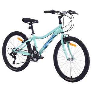 Bicicleta De Paseo Bianchi Classic 24 St / Aro 24