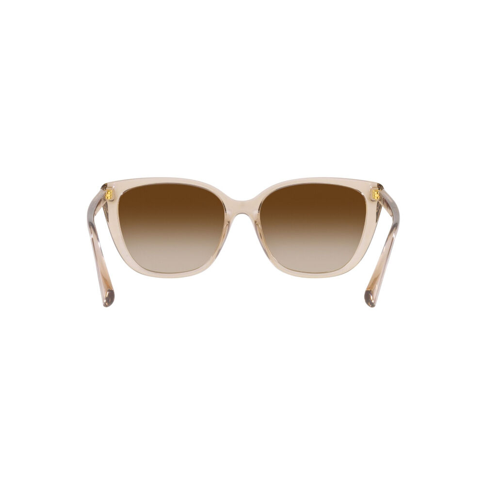 Lentes De Sol Shiny Transparent Brown Ralph image number 6.0