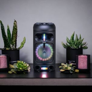 Parlante Karaoke Bt Rgb Con Micr&oacute;fono Recargable Fujitel 802