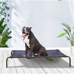 Cama Elevada Altura Para Mascota Perro Gato Talla L