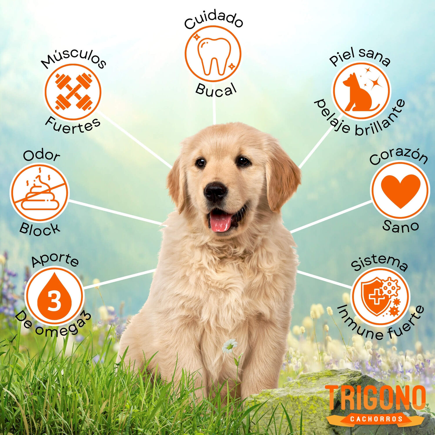 Alimento Para Perro Cachorro Trigono 10kg image number 1.0