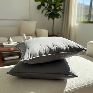 Set De 2 Cojines Bordados 6060 Cm Algod&oacute;n