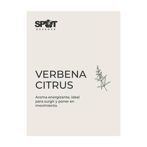 Home Spray Lh 500ml Ambar Verbena Citrus Spot Essence