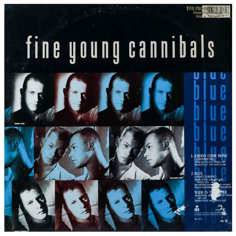 Fine Young Cannibals - Johnny Come Home(ext Mix) | 12" Maxi Single Usado image number 1.0