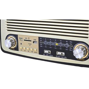 Radio Retro Port&aacute;til Bluetooth Audiopro Bt 5.0 10w Rms Usb Tf Radio Am/fm Bat Recargable Ap02051