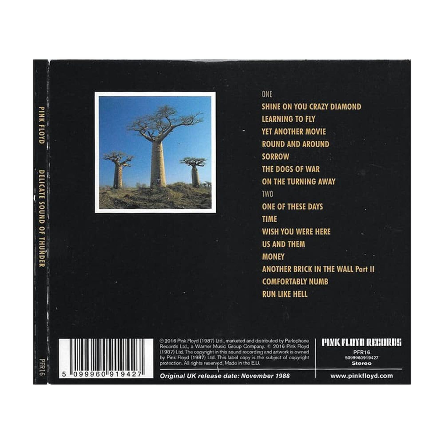 Pink Floyd - Delicate Sound Of Thunder (2cd) | Cd image number 1.0