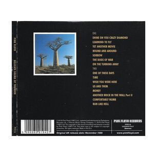 Pink Floyd - Delicate Sound Of Thunder (2cd) | Cd