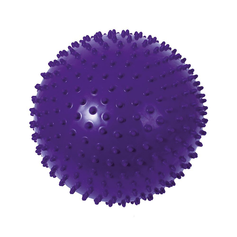 Pelota Puerco Esp&iacute;n 30 Cm image number 0.0