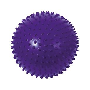 Pelota Puerco Esp&iacute;n 30 Cm