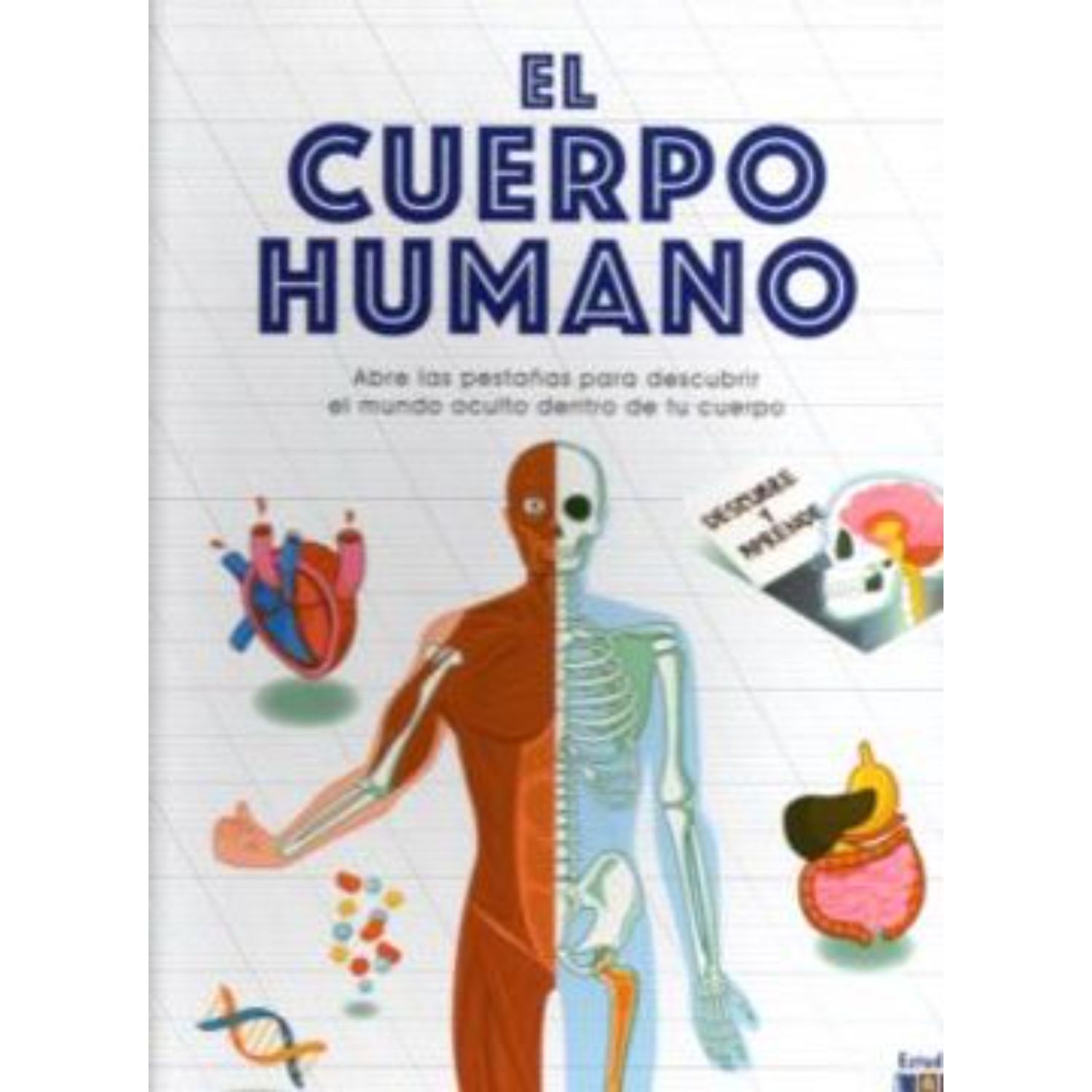 El Cuerpo Humano -descubre Y Aprende image number 0.0
