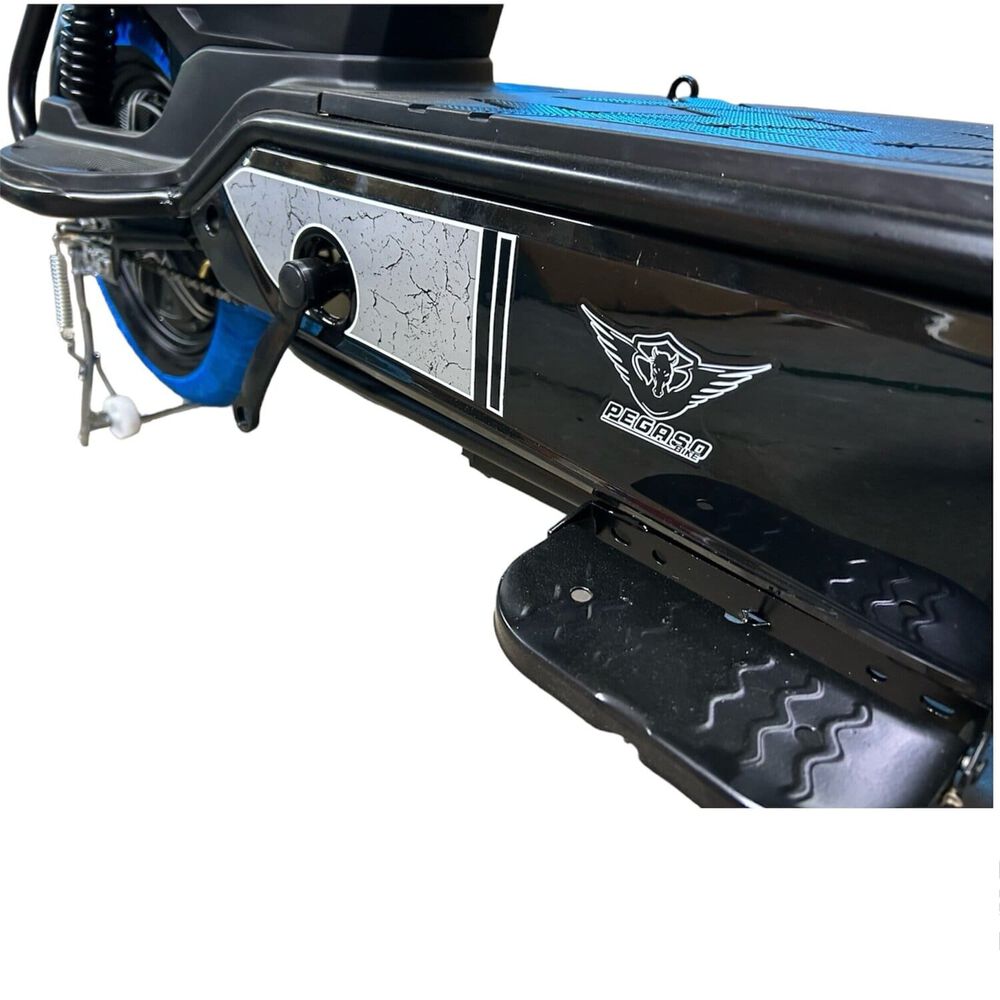 Pegaso Bike Bicicleta Electrica Speed Franc I image number 1.0