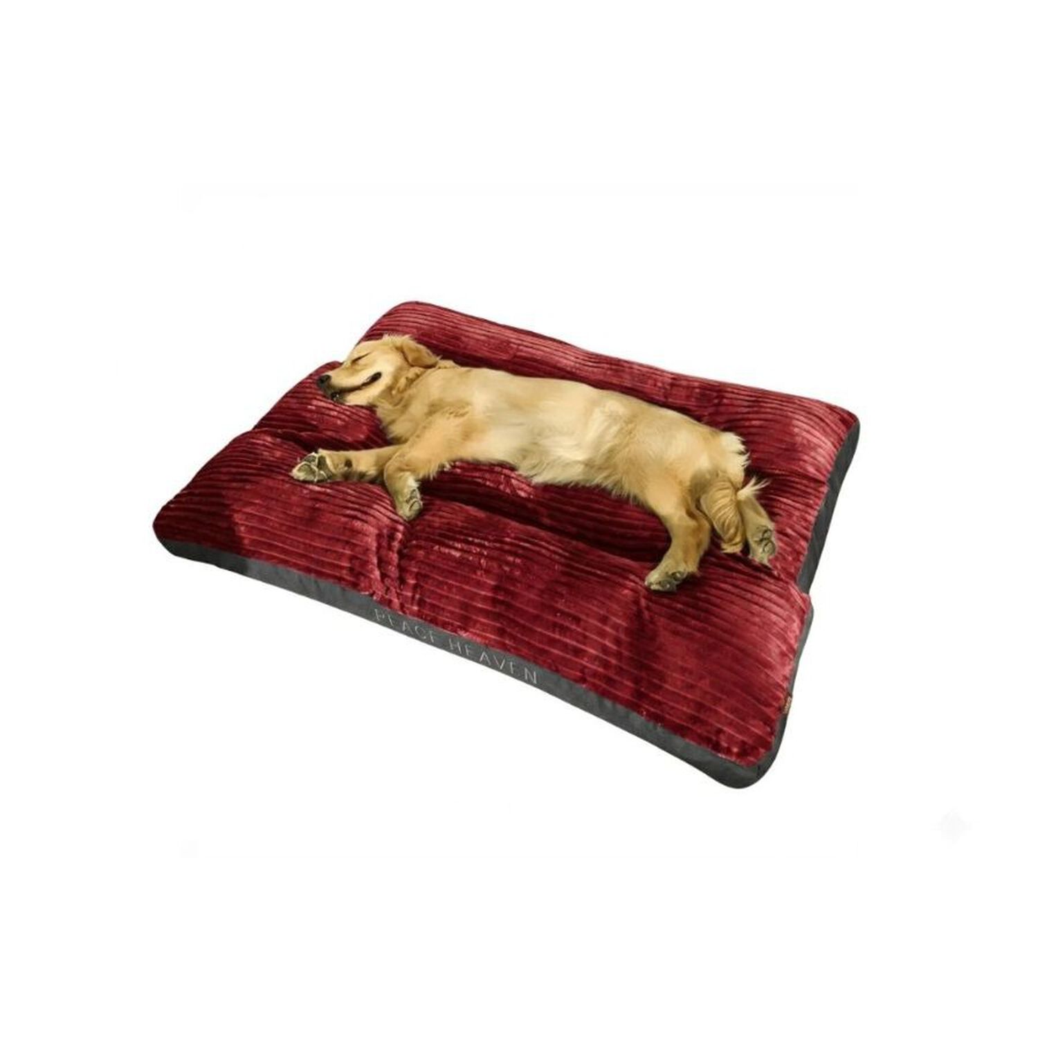 Cama Ortop&eacute;dica Premium Para Mascotas 90x115cm image number 1.0
