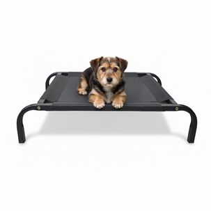 Cama Mascota Catrex M Estructura De Acero Malla Transpirable