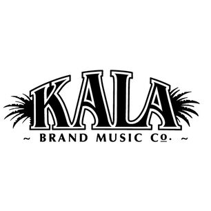 Afinador Recargable Kala Klipz. Kk-r-blk