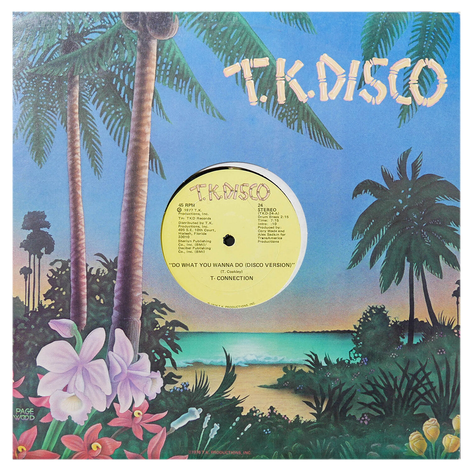 T-connection - Do What You Wanna Do (disco Version) | 12" Maxi Single Usado image number 0.0