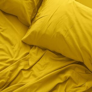 Sabana Lisa 2 Plazas