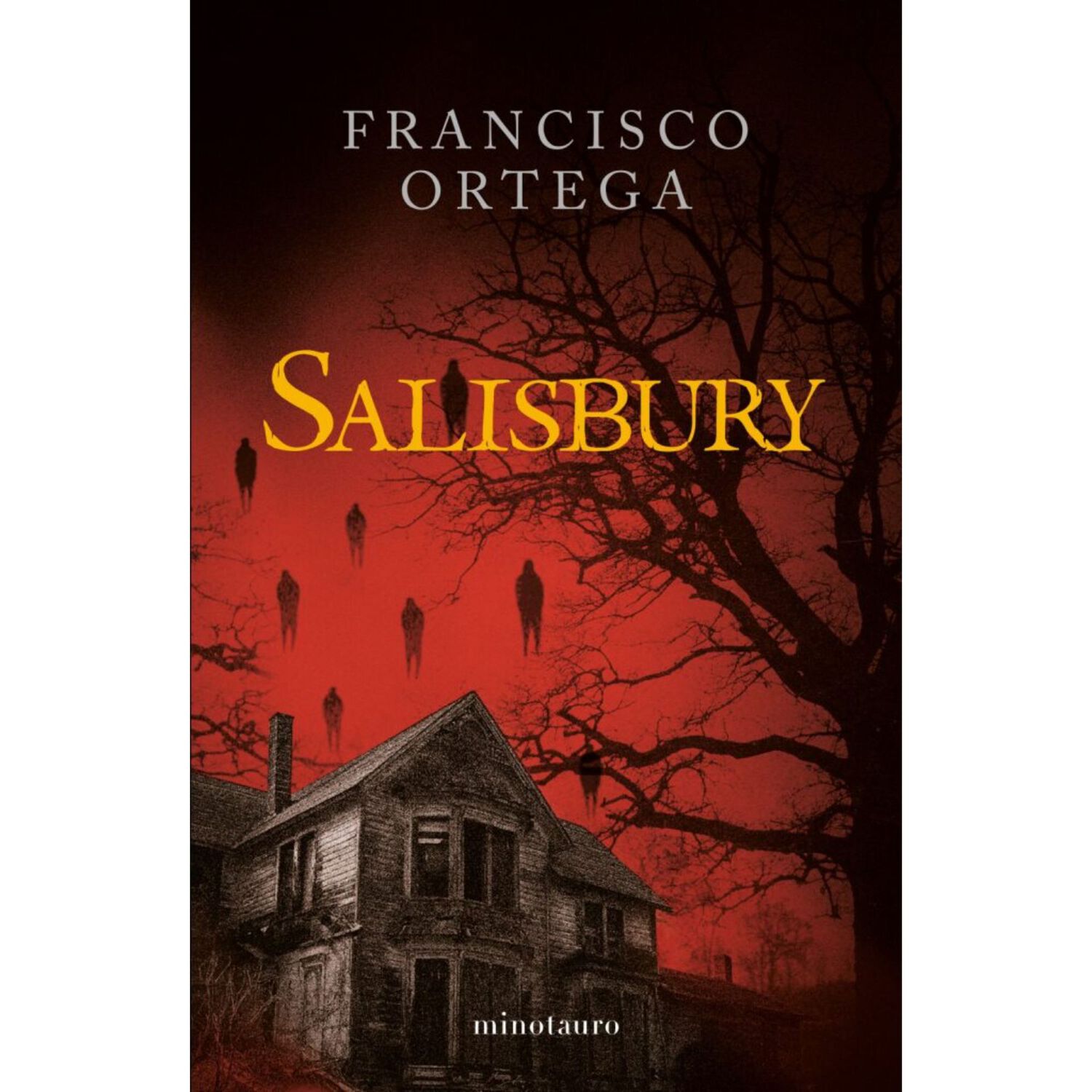 Salisbury image number 0.0