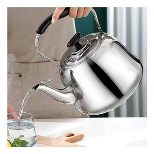 Tetera Cuello Cisne Acero 1 Litro Para Te Y Cafe