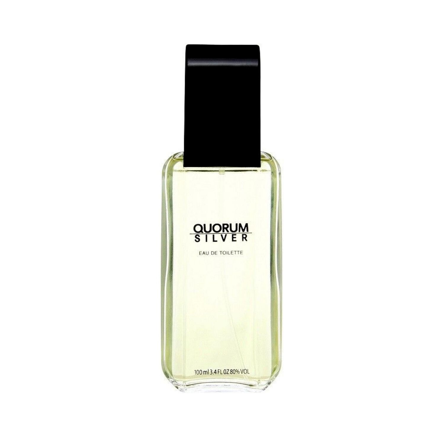 Antonio Puig Quorum Silver Men Edt 100ml image number 1.0