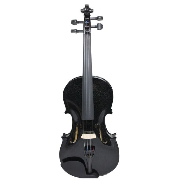 Viol&iacute;n Livorno Color Negro Brillante 4/4 Liv-20bs