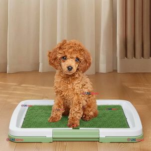 Baño Ecológico Reutilizable Para Perros Adiestramiento Mascotas