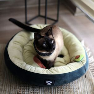 Cama Para Perro O Gato Palta Lovers Brnx