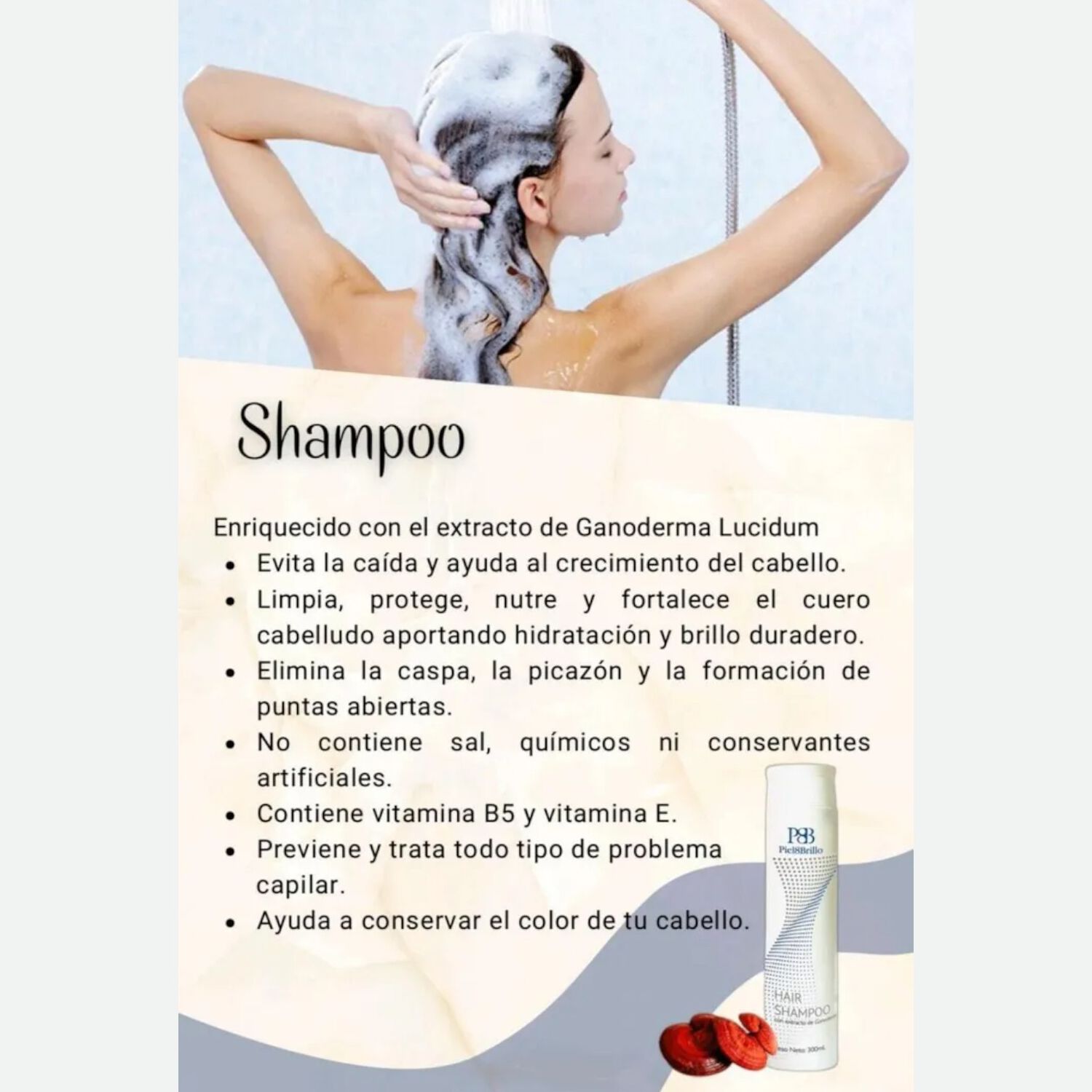 Shampoo Piel&brillo Con Ganoderma Sin Sal 300ml image number 3.0