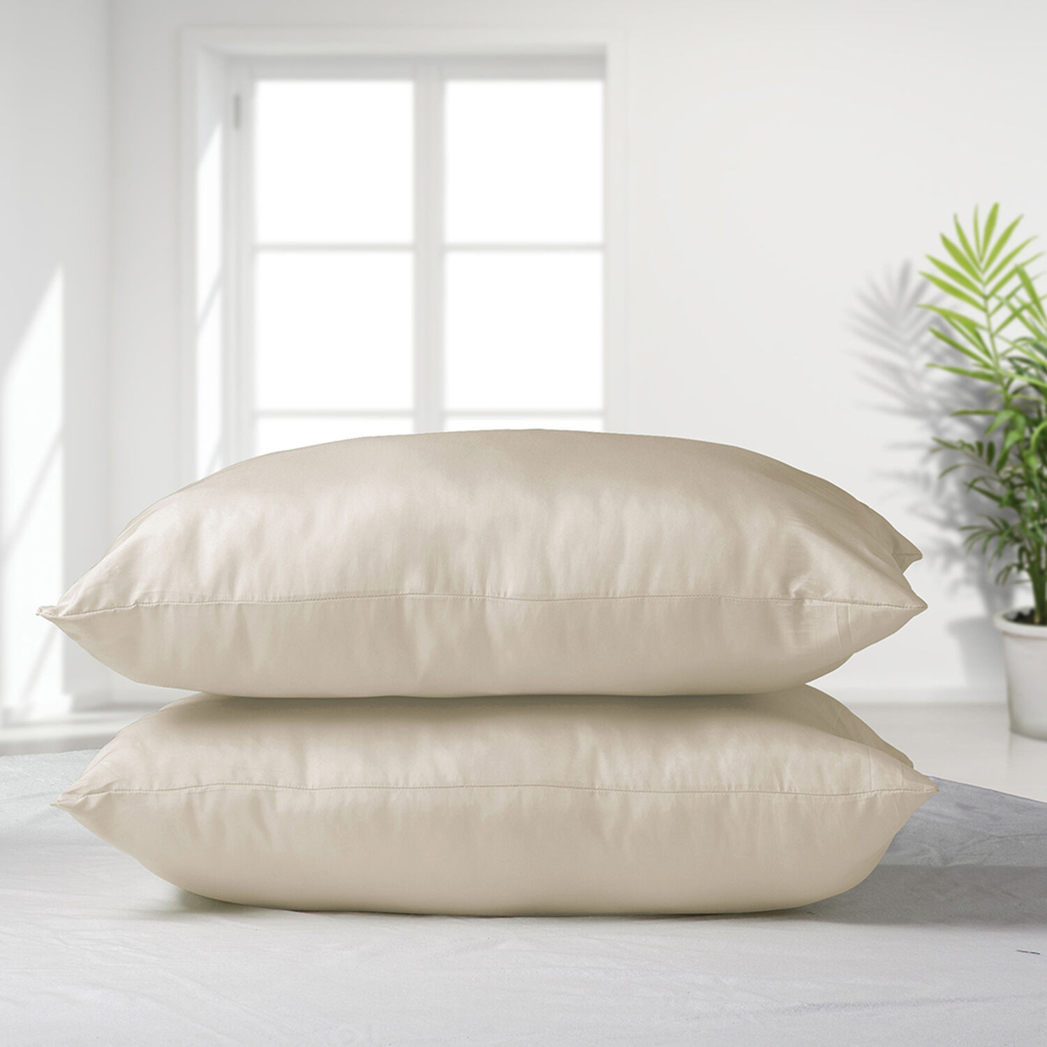 Set 2 Almohadas Eco Crudo 50x70 image number 0.0