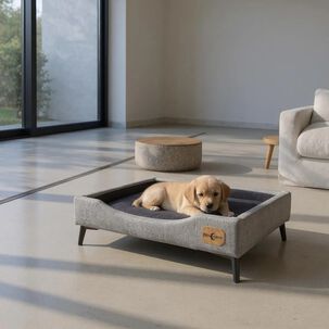 Cama De Mascotas - Talla S (55x40 Cm) / Pata Metalica 12 Cm