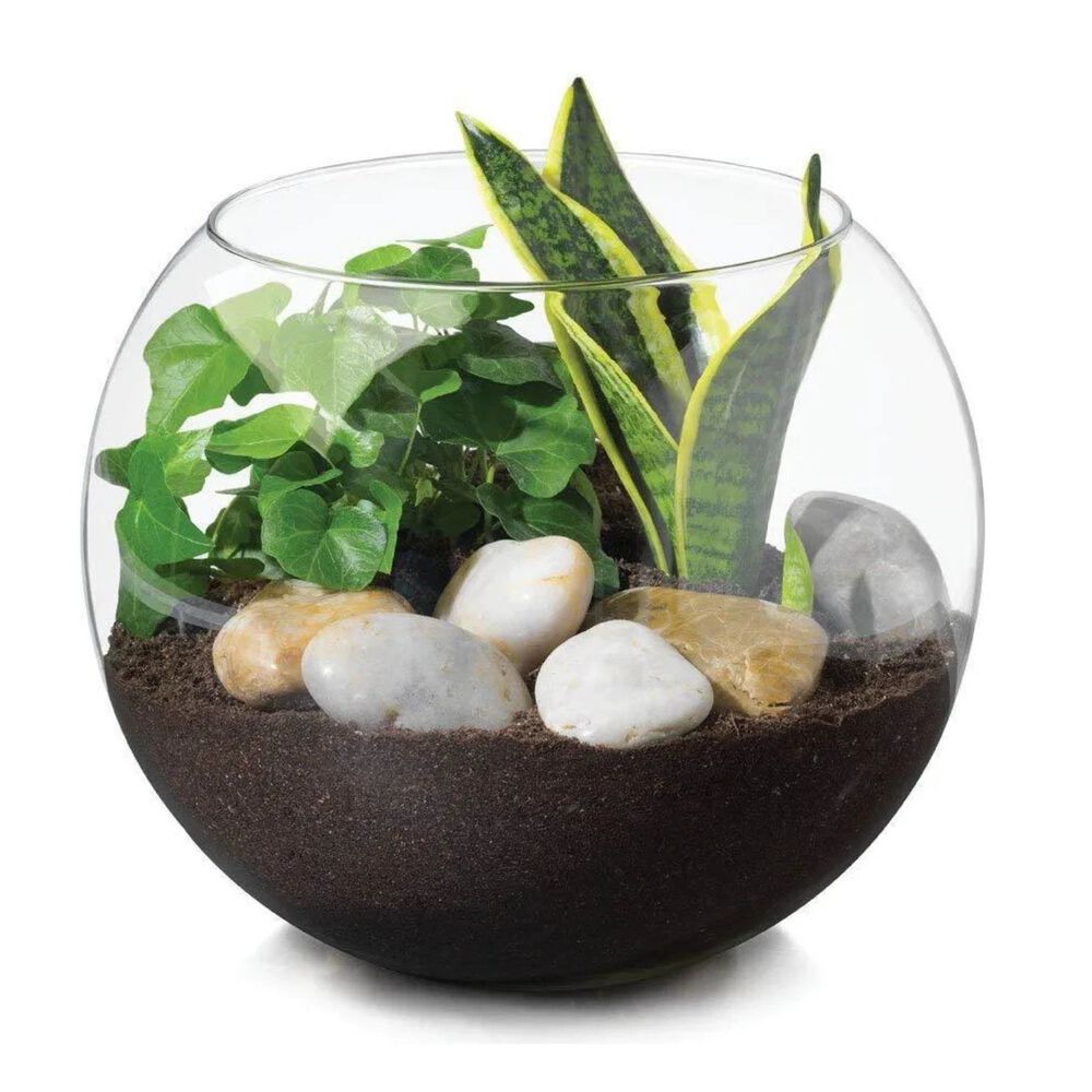 Florero Acuario 15cm Vidrio Centro Mesa Decoracion Allegra image number 1.0