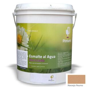 Esmalte Al Agua Reciclado Pinturec Satinado Naranjo Peumo 1g