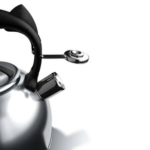 Tetera Acero Inoxidable Con Silbato Wens 3l Plateado