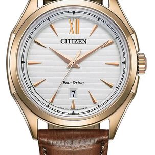 Reloj Citizen Hombre Aw1753-10a Premium Eco-drive