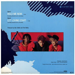 Thompson Twins - Hold Me Now | 12" Maxi Single Vinilo Usado