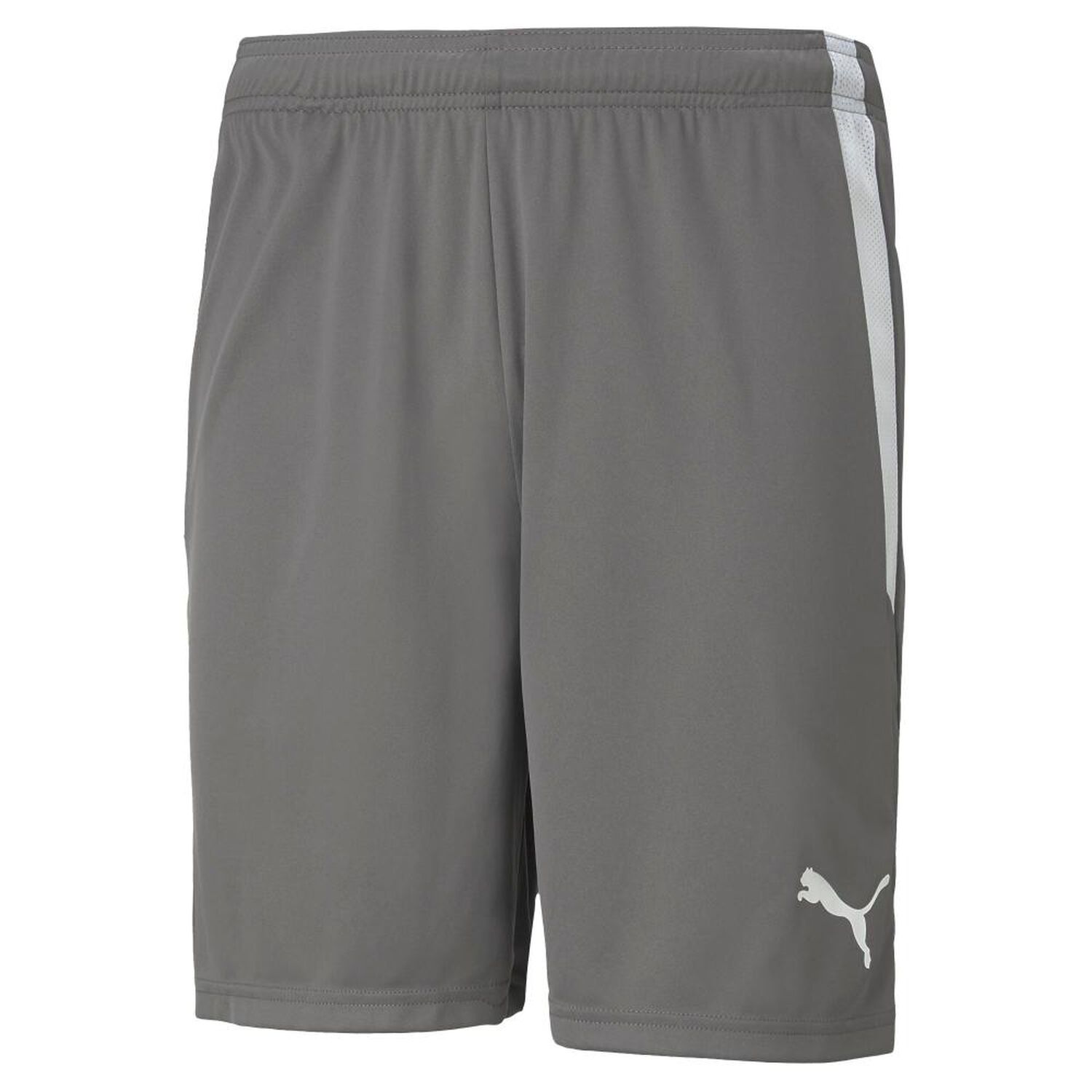 Short Deportivo Hombre Puma Teamliga Shorts image number 0.0