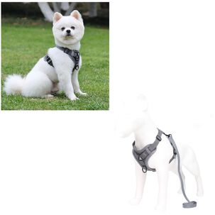 Arnés Para Perro Ajustable Con Correa Reflectantes Xl