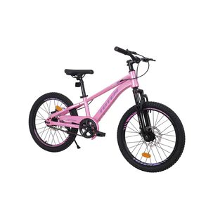 Bicicleta Totem Mtb Aro 20 Modelo Lyra Rosada