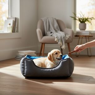 Cama De Mascotas De Espuma - Talla S (55x40 Cm) - A Piso (gris)